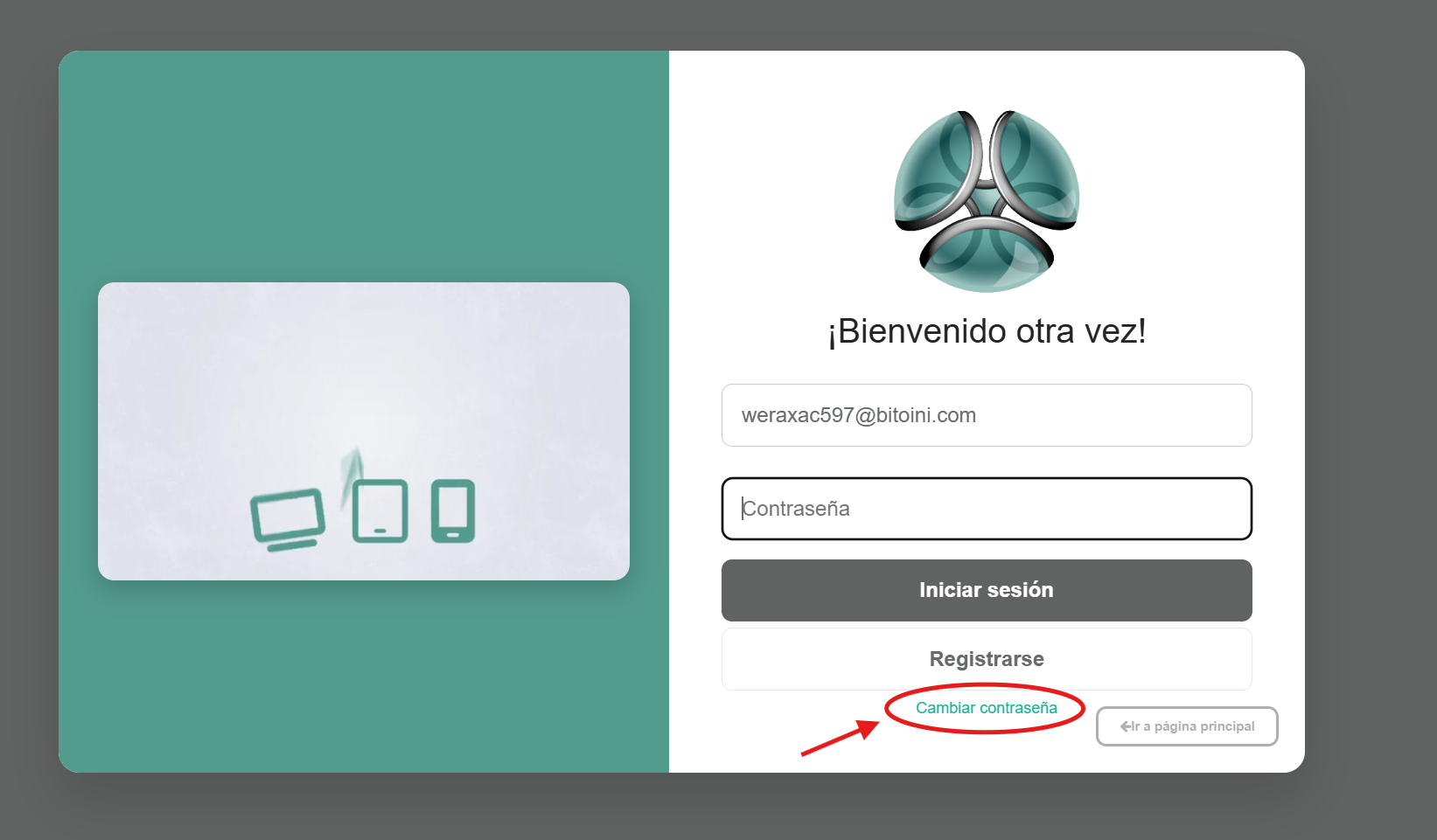 Formulario de olvido de contraseña